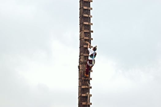 Preparing Your Router for Firmware Installation